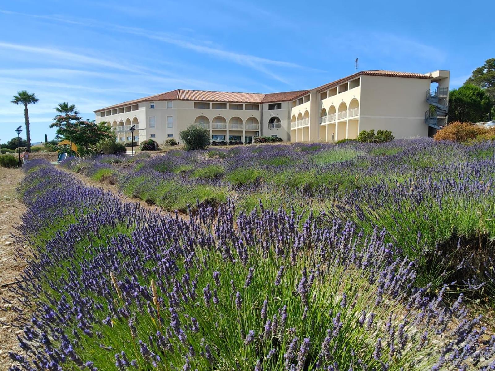 Le Manon Residence Hotel Signes Dış mekan fotoğraf